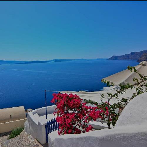  من همه این ها رو با چشم هام دیدم قلبم خُرد شد و صورتم شکست